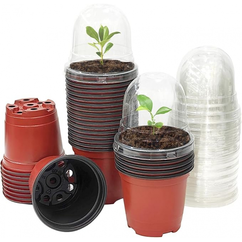Baby Nursery Plants - Plant Nursery Pot with Humidity Dome