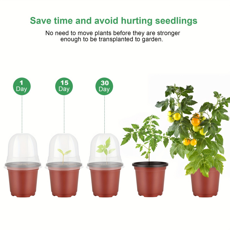 Plant Nursery Pot with Humidit - Baby Nursery Plants 评论和价格